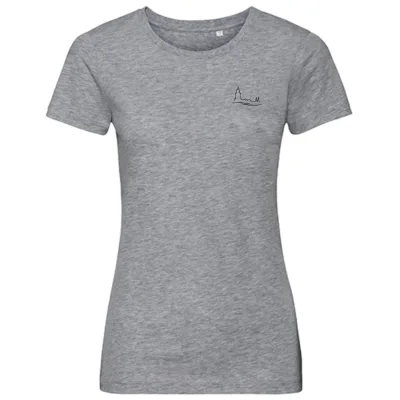 Deventer wave T-shirt dames grijs