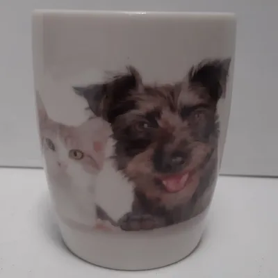 Grote mok met katten en honden V1