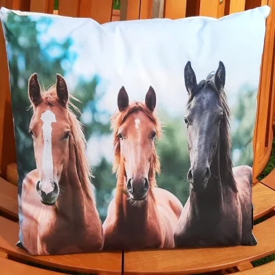 Buitenkussen paarden 45x45 cm
