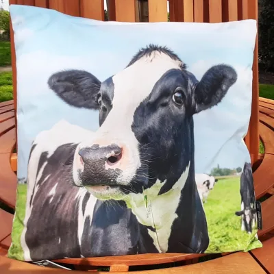 Buitenkussen- tuinkussen koe 45x45 cm