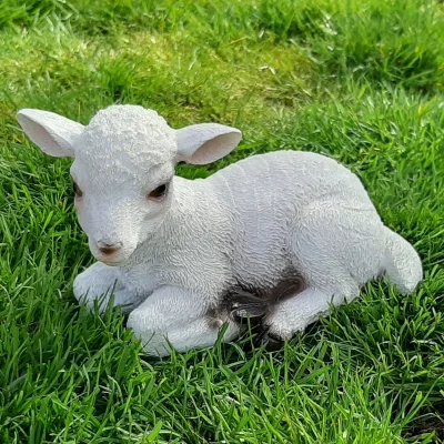 Beeldje jong schaap, lammetje, wit liggend 20 cm