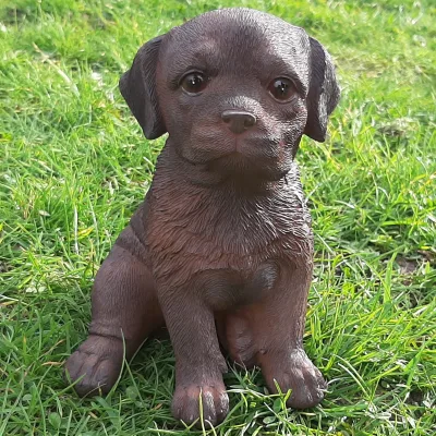 Beeldje bruine Labrador Retriever pup zittend