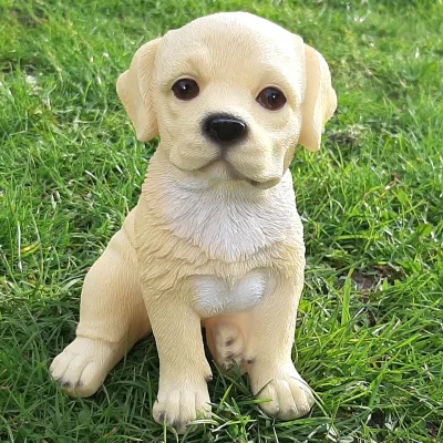 Beeldje blonde Labrador Retriever pup zittend