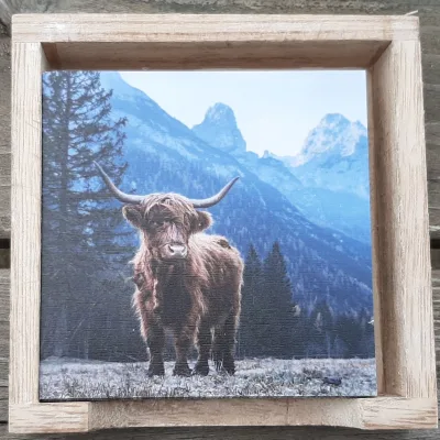 Onderzetters Schotse Hooglanders set van 6 in kleur