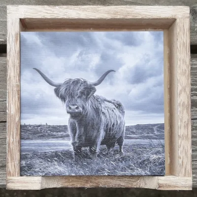 Onderzetters Schotse Hooglanders set van 6 grijstinten