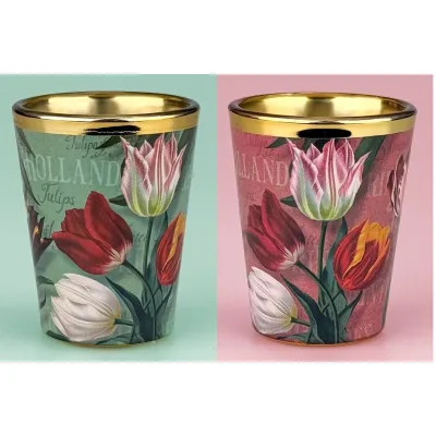 Set van 2 shotglaasjes Hollandse tulpen groen en roze