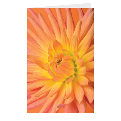Kaart Bloem oranje geel