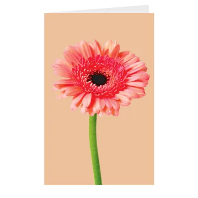 Kaart Bloem roze