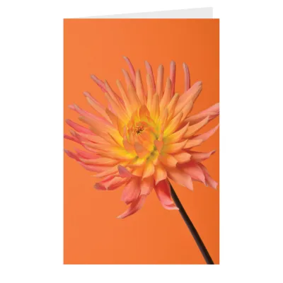 Kaart Bloem geel oranje