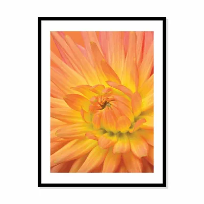 Poster bloem oranje
