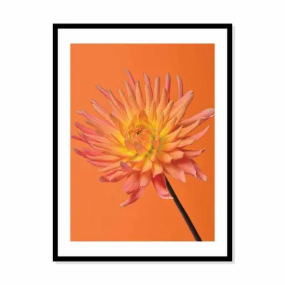 Poster bloem met steel oranje