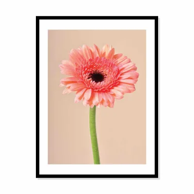 Poster bloem roze