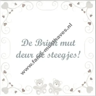Tegel Deventer dialect: zwangerschap - De Brink mut deur de steegjes