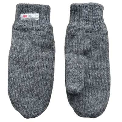 Wanten dames - Winter wanten - Thinsulate - Wol - Grijs - One size