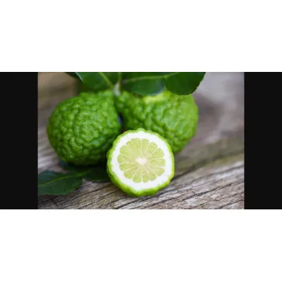 Bergamot poeder
