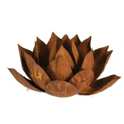 Agave, roest design