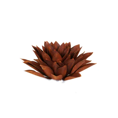 Echeveria spits, roest design