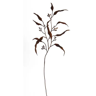 Eucalyptus met bessen op steel, roest design