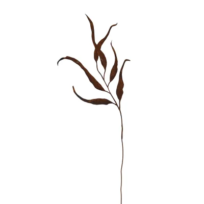 Eucalyptus op steel, roest design