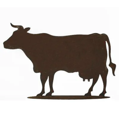 Koe op plaat, roest design
