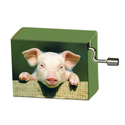 Speeldoosje dieren varken op hek met melodie Happy Birthday