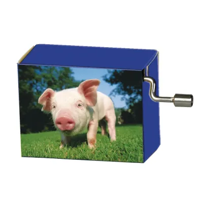 Speeldoosje dieren varken met melodie Happy Birthday