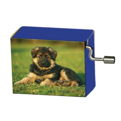 Speeldoosje dieren Hond in het gras met melodie Old McDonald