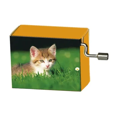 Speeldoosje dieren kitten in het gras met melodie LaLeLu