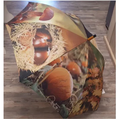 Paraplu herfst bladeren paddenstoelen en pompoen van Esschert design